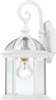 Boxwood One Light Wall Lantern in White (72|60-3494)