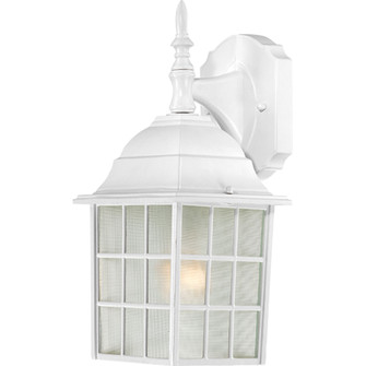 Adams One Light Wall Lantern in White (72|60-4904)