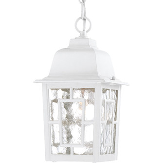 Banyan One Light Hanging Lantern in White (72|60-4931)