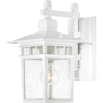 Cove Neck One Light Wall Lantern in White (72|60-4951)