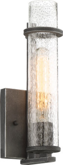 Donzi One Light Vanity in Iron Black (72|60-6381)