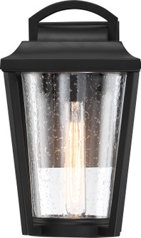 Lakeview One Light Outdoor Wall Lantern in Aged Bronze / Brass Accents (72|60-6511)