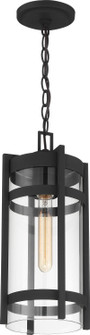 Tofino One Light Hanging Lantern in Textured Black (72|60-6574)