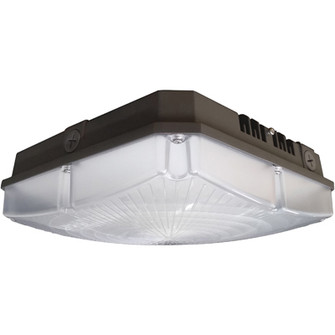 LED Canopy Fixture in Bronze (72|65-140)