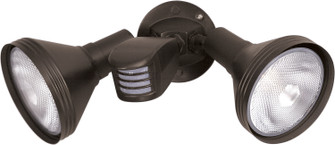 Two Light Floodlight in Bronze (72|SF76-531)