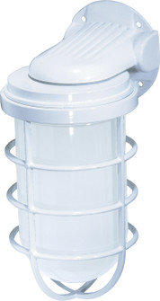 One Light Wall Lantern in White (72|SF76-617)