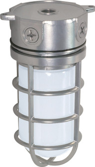 One Light Ceiling Mount in Metallic Silver (72|SF76-624)