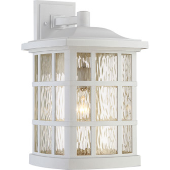 Stonington One Light Outdoor Wall Lantern in Matte White (10|SNN8411W)