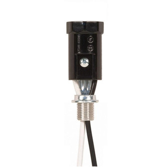 Socket in Not Specified (230|80-1552)