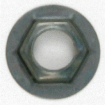 Pal Nut in Not Specified (230|90-019)