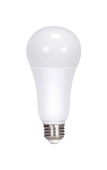 Light Bulb in White (230|S11330)
