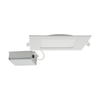LED Downlight in White (230|S11831)