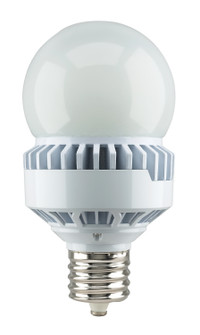 Light Bulb in Frost (230|S13111)