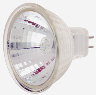 Light Bulb in Clear (230|S1976)