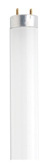 Light Bulb in White (230|S26515)