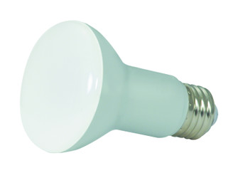 Light Bulb in Frost (230|S28491)