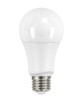Light Bulb in Frost (230|S29558)