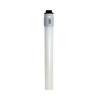 Light Bulb in White (230|S29924)