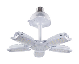 Light Bulb in Clear (230|S39752)