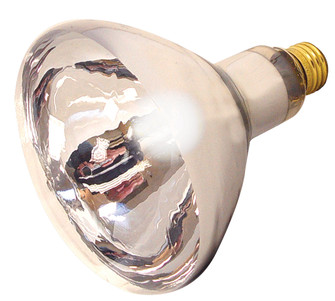 Light Bulb in Clear Heat (230|S4750-TF)
