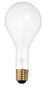 Light Bulb in Frost (230|S4962)