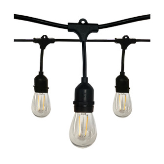 LED String Light in Black (230|S8020)