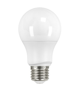 Light Bulb in Frost (230|S9591)