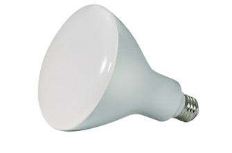Light Bulb in Frost (230|S9635)