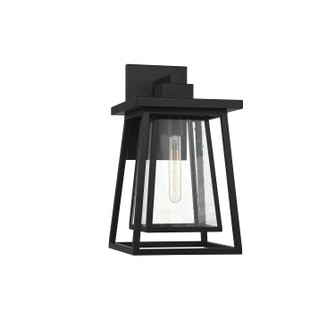 Denver One Light Outdoor Wall Lantern in Matte Black (51|5-2022-BK)