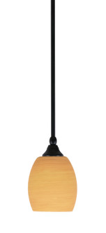Any One Light Mini Pendant in Matte Black (200|23-MB-625)