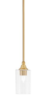 Any One Light Mini Pendant in New Age Brass (200|23-NAB-300)