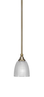 Stem One Light Mini Pendant in New Age Brass (200|23-NAB-500)