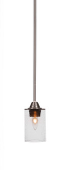Paramount One Light Mini Pendant in Brushed Nickel (200|3401-BN-300)
