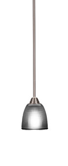 Paramount One Light Mini Pendant in Brushed Nickel (200|3401-BN-500)
