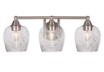 Paramount Three Light Bath Bar in Brushed Nickel (200|3423-BN-4812)