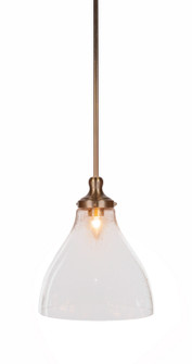Juno One Light Pendant in New Age Brass (200|79-NAB-4720)