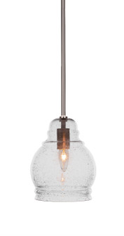 Palisade One Light Pendant in Brushed Nickel (200|81-BN-4570)