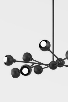 Colt 12 Light Chandelier in Soft Black (67|F7412-SBK)