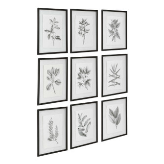 Farmhouse Florals Wall Art in Matte Black (52|41617)