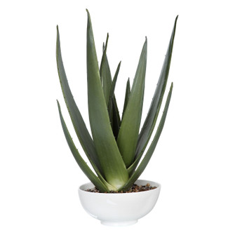 Evarado Planter in Glossy White (52|60177)