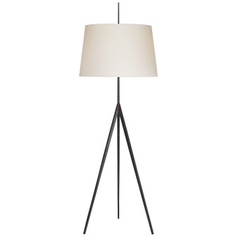 Triad One Light Floor Lamp in Aged Iron (268|S 1641AI-PL)