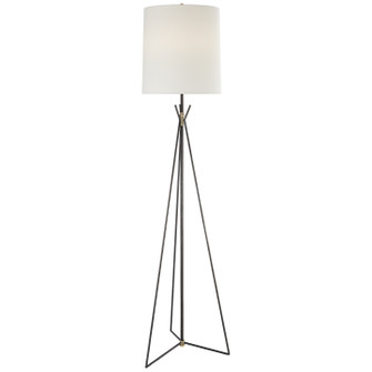 Tavares One Light Floor Lamp in Aged Iron (268|TOB 1390AI/HAB-L)