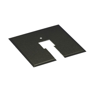 120V Track Canopy Plate for Junction Box in Black (34|CP-BK)