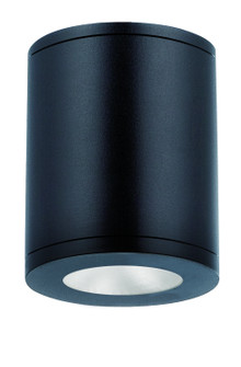 Tube Arch LED Flush Mount in Black (34|DS-CD0517-S35-BK)