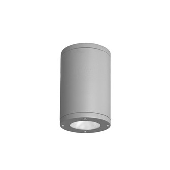 Tube Arch LED Flush Mount in Graphite (34|DS-CD05-S27-GH)