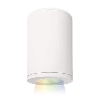 Tube Arch LED Flush Mount in White (34|DS-CD05-S-CC-WT)