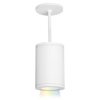 Tube Arch LED Pendant in White (34|DS-PD05-F-CC-WT)