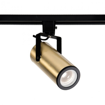 Silo LED Track Luminaire in Brushed Brass (34|H-2020-935-BR)