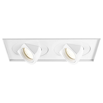 Tesla LED Multiple Two Light Invisible Trim with Light Engine in White (34|MT-5LD225TL-S35-WT)