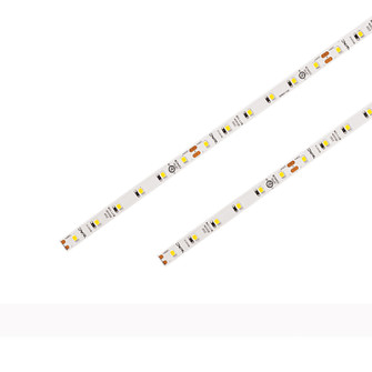 Basic LED Tape Light in White (34|T24-BS2-40-27WT)
